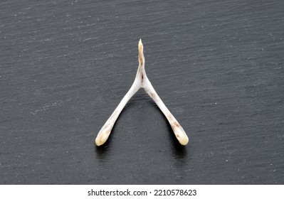 Chicken Wishbone To Make Wishes Isolated On Dark Background