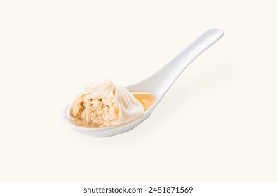 Chicken Xiao long bao steamed bun dumpling served in spoon isolated on grey background side view of hong kong food