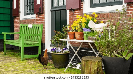 Chickens and a rooster walking in the backyard of a farmhouse. Hens in the vegetable garden. Poultry spoiling the flower bed. Rustic atmosphere on an Easter card. Wooden bench in country house design.