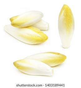 Chicory (endive) Isolated On White Background