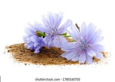 Chicory Root And Flowers Are Isolated On White Background. Blue Flowers Of Chicory. Chicory Root Is Considered A Coffee Substitute And Is A Source Of Inulin. Inulin Is Used In The Food Industry.