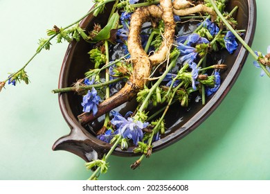 Chicory root and chicory flowers,weed. Wild plant in herbal medicine. - Shutterstock ID 2023566008