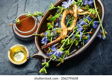Chicory root and chicory flowers,weed. Wild plant in herbal medicine.Coffee substitute - Shutterstock ID 2062795658