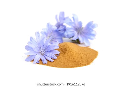 Chicory Root Powder With Blue Flowers Isolated On White Background. Heap Of Chicory Coffee, Organic Food Additive