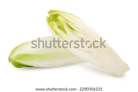 Chicory salad isolated on white background with clipping path and full depth of field. BIO vegetables. Foto stock © 