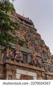 Chidambaram Thillai Natarajar temple gopuram. Temple entrance of the famous hindu temple with a tree in foreground