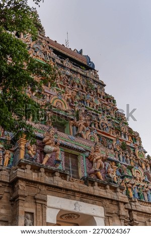 Chidambaram Thillai Natarajar temple gopuram. Temple entrance of the famous hindu temple with a tree in foreground