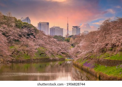 3,370 Chidorigafuchi park Images, Stock Photos & Vectors | Shutterstock