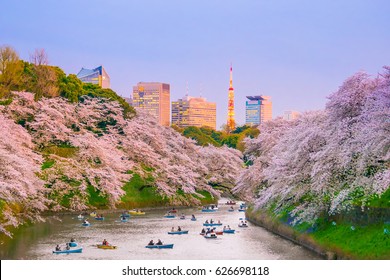 Chidorigafuchi park with full bloom sakura in Tokyo, Japan.