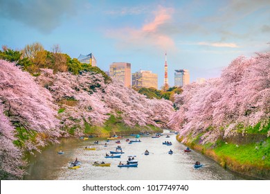 Chidorigafuchi Park In Tokyo During Sakura Season In Japan