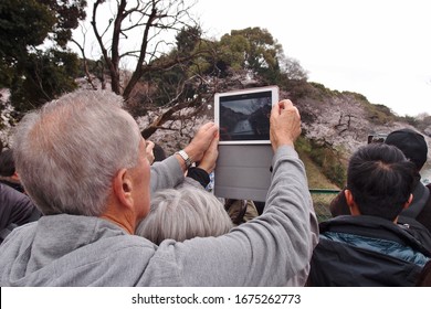 Chidorigafuchi, Tokyo/Japan - March 30, 2019: An Old Man Is Trying To Take Photos Of Cherry Blossoms With His IPad At Chidorigafuchi When It Is Very Crowded.