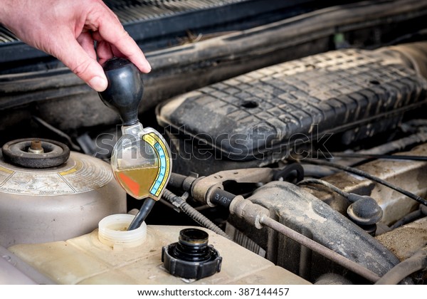 Chief mechanic\
tests the anti freeze in a\
car
