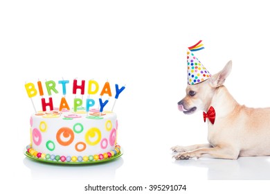 37 Chihuahua Clown Images, Stock Photos & Vectors | Shutterstock