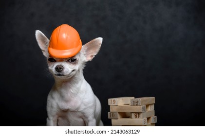 Chihuahua Dog In A Red Protective Construction Helmet On Labor Day Looks Smiling At The Camera While Sitting Next To A Pyramid Of Wooden Blocks. Photo Of A Dog On A Black Studio Background.