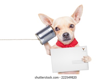 Chihuahua Dog Talking On The Phone Surprised, Holding A Blank Envelope