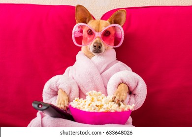 chihuahua dog watching tv or a movie sitting on a red sofa or couch  with remote control changing the channels with popcorn - Powered by Shutterstock