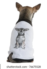 Chihuahua dressed with a t-shirt with a photo of himself, 3 years old, in front of white background