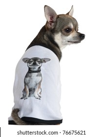 Chihuahua dressed with a t-shirt with a photo of himself, 3 years old, in front of white background