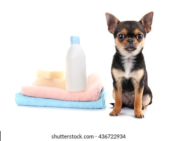 can you wash a dog with baby shampoo