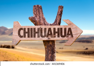 Chihuahua Wooden Sign With Desert Background