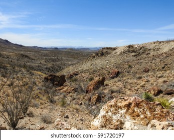 Chihuahuan Desert