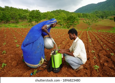 CHIKHALDARA, MAHARASHTRA, INDIA 29 JUNE 2020 : Unidentified Indian Farmer Working In The Cotton Field Farm, An Indian Farming Scene.