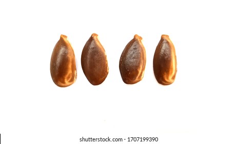 chikoo seeds