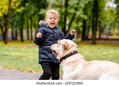 the child is afraid of the dog. Big dog scares a child in the park