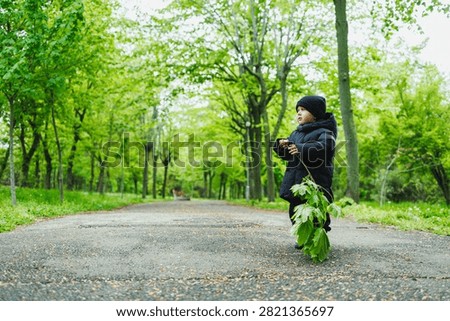 Child assembling leafy sculpture on walkway, creative outdoor play among tall trees, puffy jacket and knitted hat, focused hands arranging branch, light