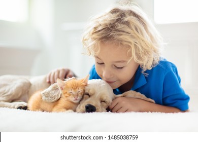 Child With Baby Dog And Cat. Kids Play With Puppy And Kitten In A Basket. Little Boy And American Cocker Spaniel On Bed At Home. Pets At Home. Animal Care.