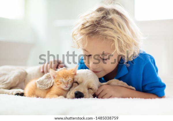 Enfant Avec Bebe Chien Et Chat Photo De Stock Modifiable