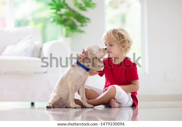 赤ん坊の犬と子ども 子供は子犬と遊ぶ ソファの小さな少年とアメリカのコッカースパニエル 家でペットを飼って 動物の世話 の写真素材 今すぐ編集