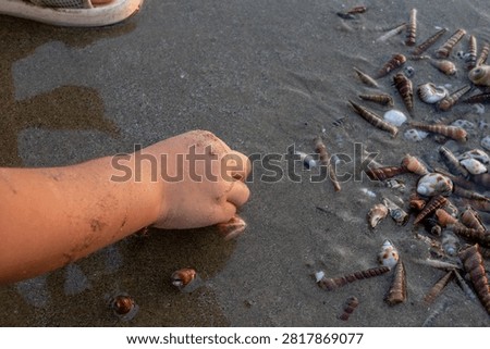 A Child Beachcombing and Picking Shells on Sandy Beach