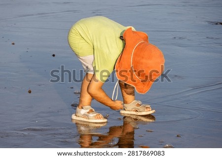 A Child Beachcombing and Picking Shells on Sandy Beach