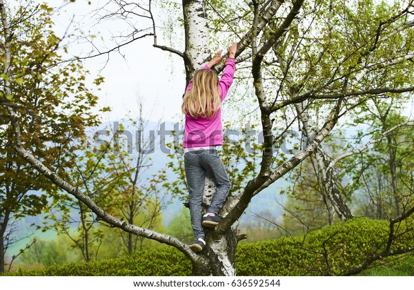 Child Blond Girl Climbing Tree Park Stock Photo (Edit Now) 636592544