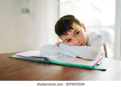 The Child Bored And Frustrated And Fed Up Doing His Homework