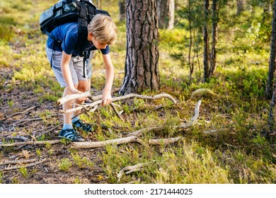 Child Boy With Backpack Collecting Wood For A Camp Fire At Forest.