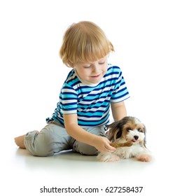 Child boy feeds dog puppy isolated on white background
