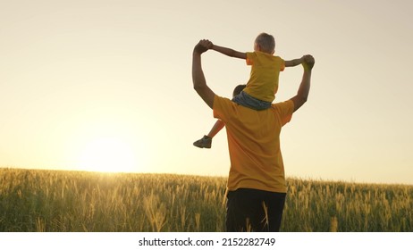 Child Boy Holds Father Hands Sitting On Shoulders. Glad Son Enjoys To Be Tall As Dad Running Across Wheat Field. Man And Kid Have Fun At Bright Sunset Backside View Slow Motion