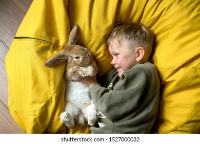 Child Boy Playing With Bunny Rabbit. Kid Holding Funny Little Pet.