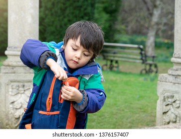 Child boy puting  things in a backpack, Schoo kid exploring with school trip, Children learning about seasons change on spring, Lean from nature.