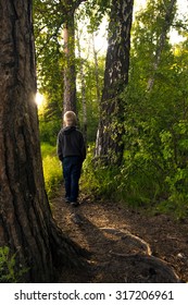 Child (boy) Walking Alone In Green Forest