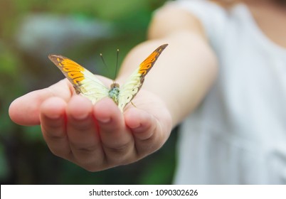 Child with a butterfly. Selective focus.