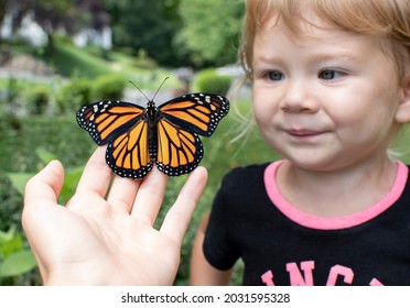 Child With Butterfly. Toddler Watching Monarch Butterfly