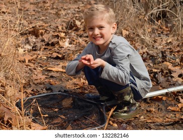 Child Catching Tadpoles, Fish, Frogs, Crayfish And Other Aquatic Animals In A Pond With A Net