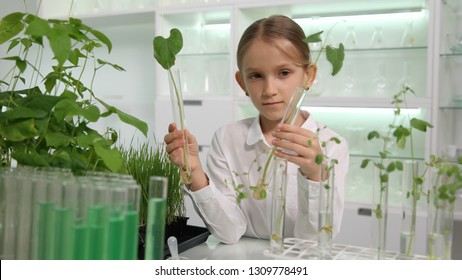 Child In Chemistry Laboratory, Schoolgirl Science Experiment, Growing Plants, Seedling In Classroom Lab, Educational Biology Project, Kid Playing Agriculture