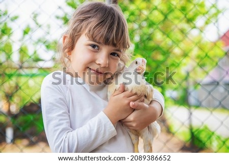 The child in the chicken coop feeds the hens. Selective focus. Kid.