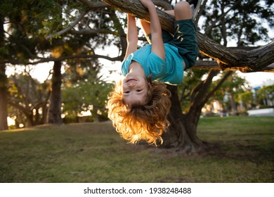 Child Climb A Tree, Kid Playing In A Park And Climbing. Little Boy Having Fun In Garden Outdoors