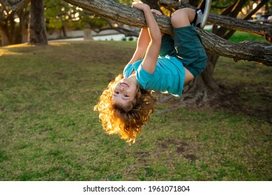 Child climbing in adventure activity park. Insurance kids. Health care insurance concept for kids. Medical healthcare protection. Little boy kid facing challenge trying to climb a tree.
