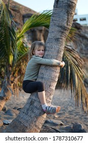 Child Climbing Palm Tree Travelling At Sunset At The Beach